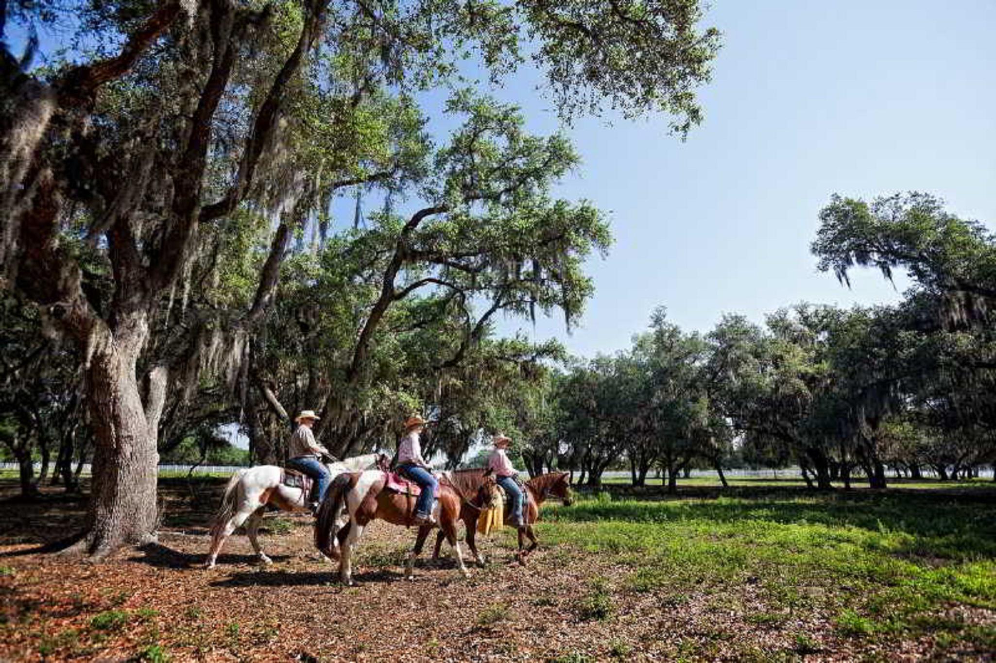 Westgate River Ranch Resort & Rodeo Exterior foto