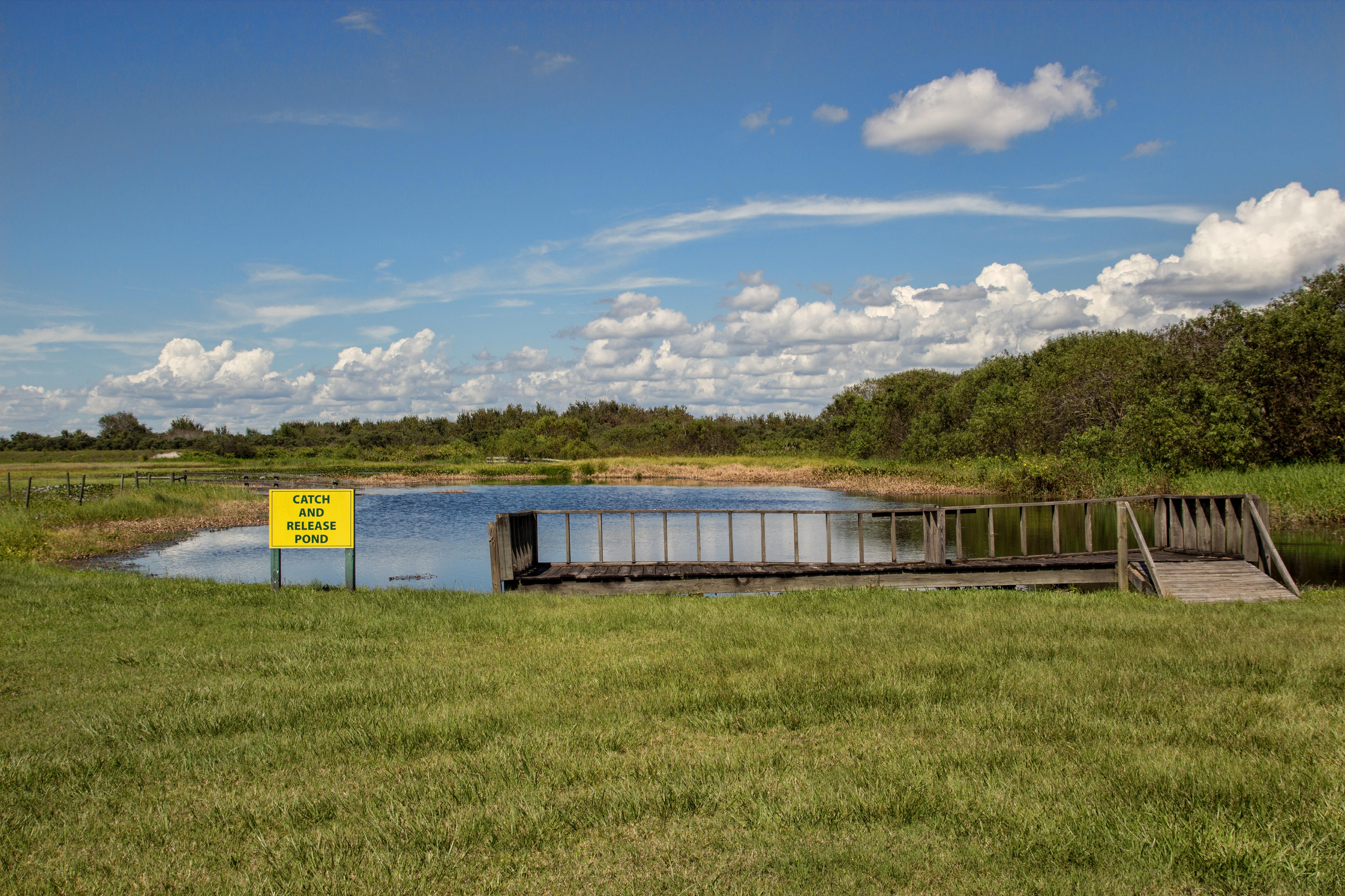 Westgate River Ranch Resort & Rodeo Exterior foto